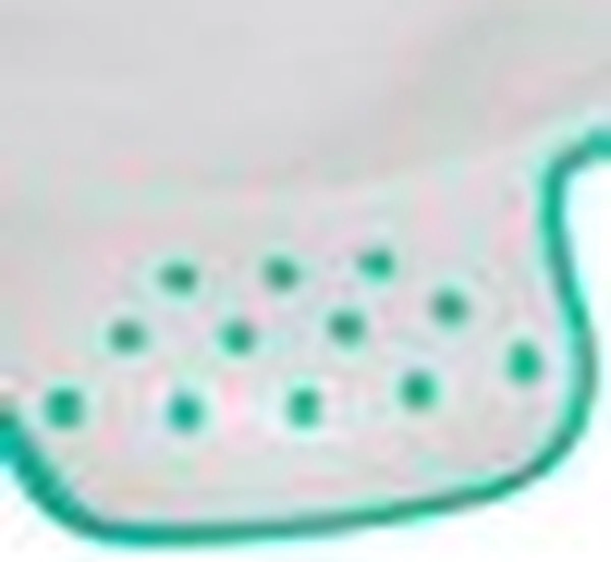 Keeeper Peppa Pig Toiletverkleiner - Licht Grijs - Afbeelding 9