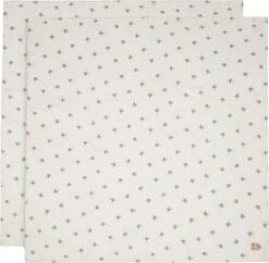 Jollein Hydrofiele Doek 115cm Rosehip 2pack