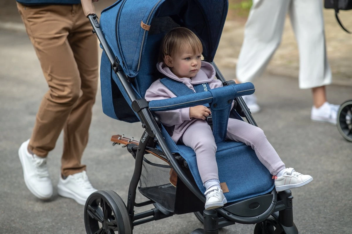 Lionelo Annet Plus - Kinderwagen 2in1 - Inklapsysteem - XXL Dakje - Tot 22 Kg - Afbeelding 11