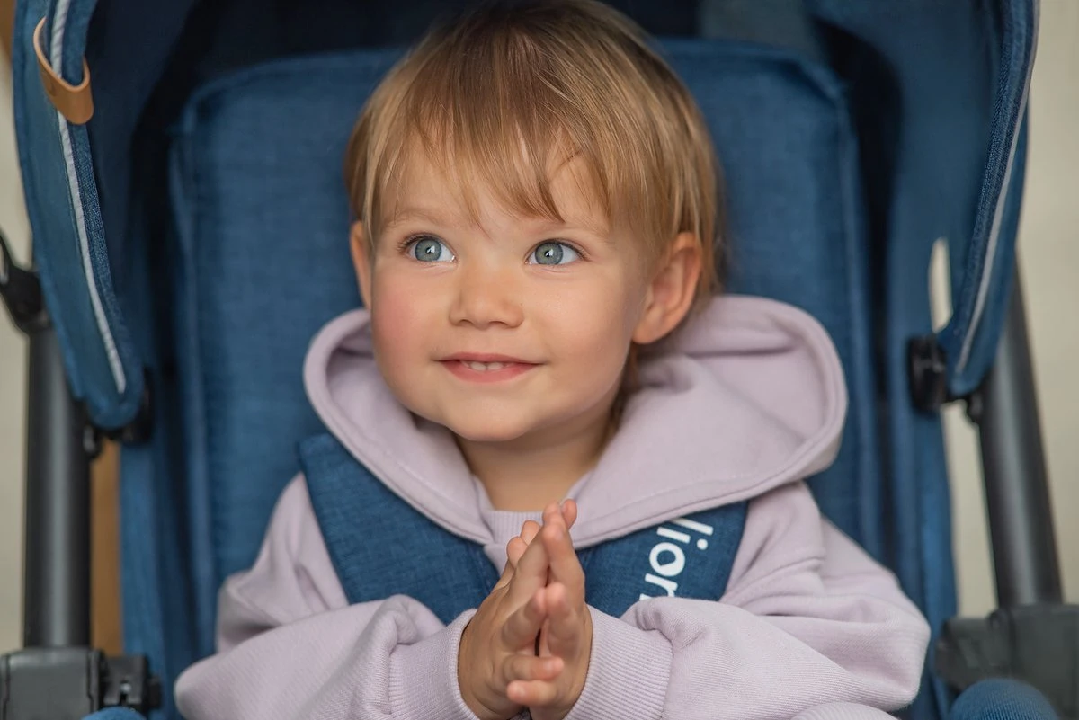 Lionelo Annet Plus - Kinderwagen 2in1 - Inklapsysteem - XXL Dakje - Tot 22 Kg - Afbeelding 9